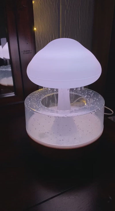 Raining Humidifier